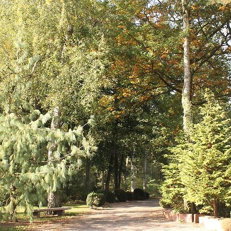 Hotel Und Restaurant Waldschloesschen Crivitz Luaran gambar