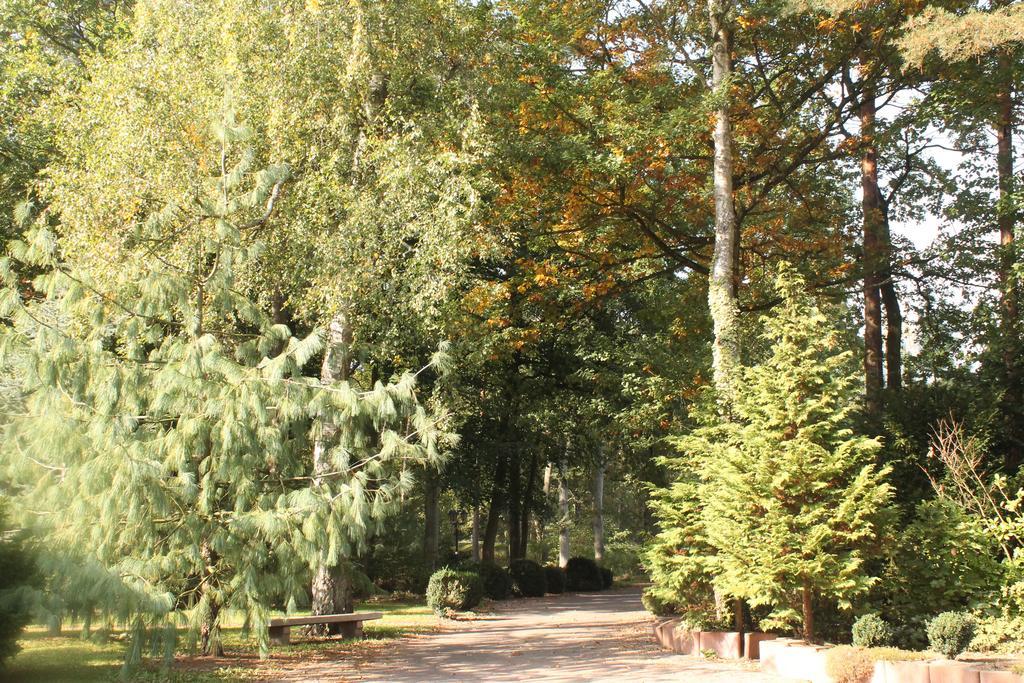 Hotel Und Restaurant Waldschloesschen Crivitz Luaran gambar